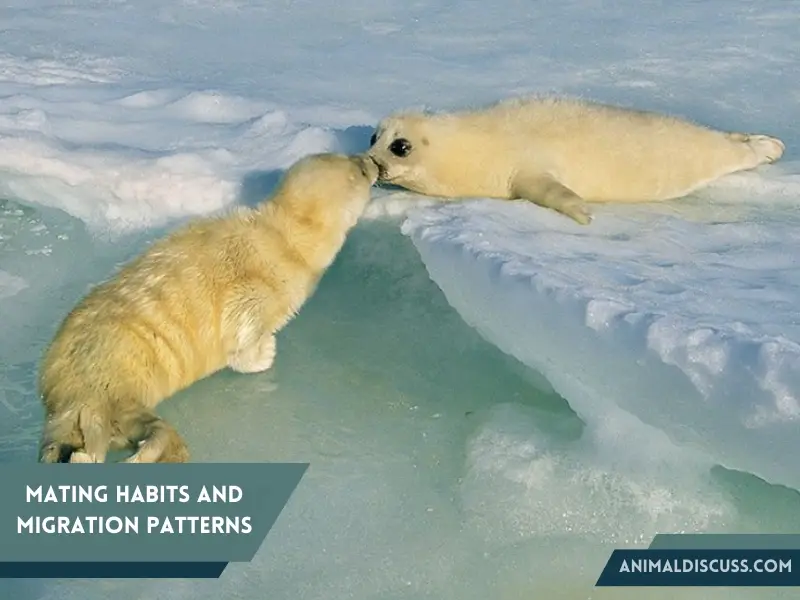 Mating Habits And Migration Patterns