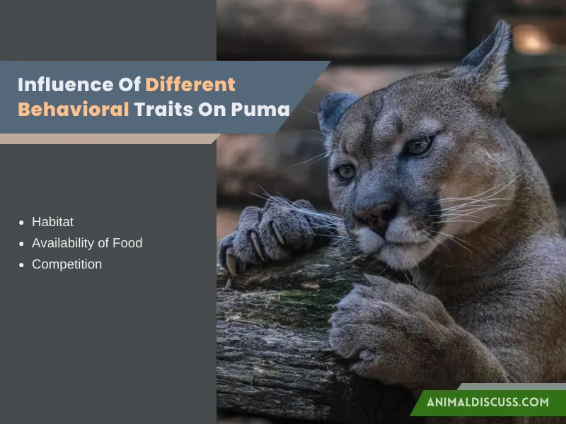 Influence Of Different Behavioral Traits On Puma