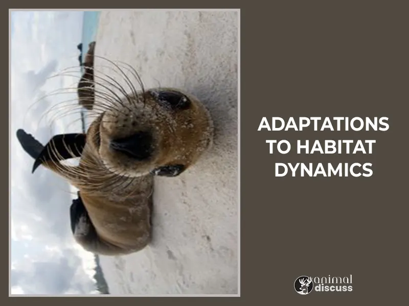 Adaptations to Habitat Dynamics