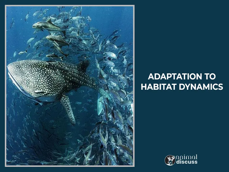 Adaptation to Habitat Dynamics