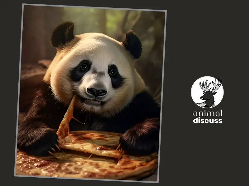 What Factors Influence Pandas' Eating Habits