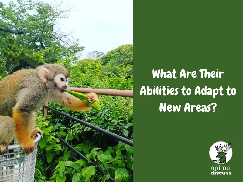 What Are Their Abilities to Adapt to New Areas