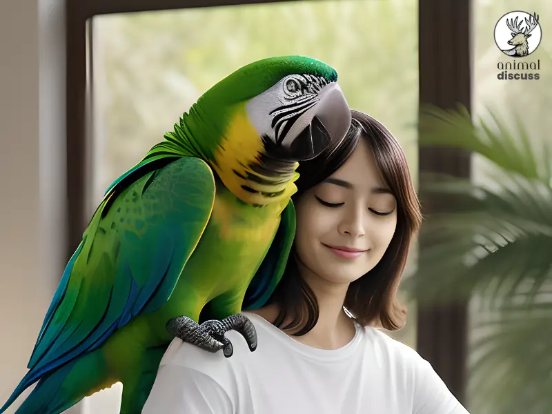 Why Do Parrots Bond with Their Owners