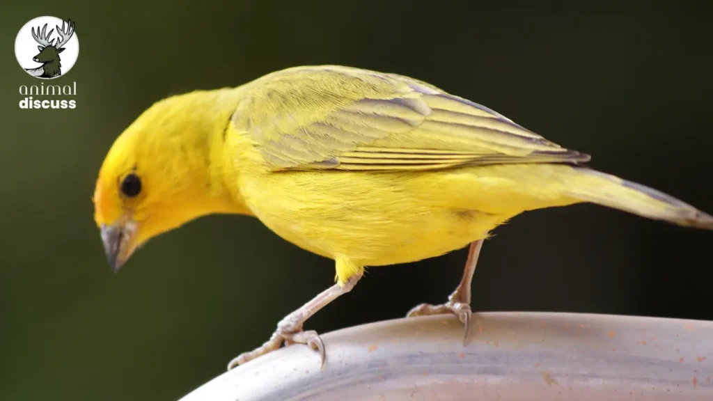 Maintaining a Clean and Safe Habitat