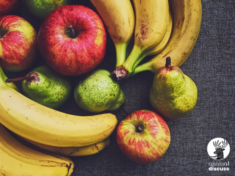 What Fresh Fruits and Vegetables Can Domestic Canaries Eat